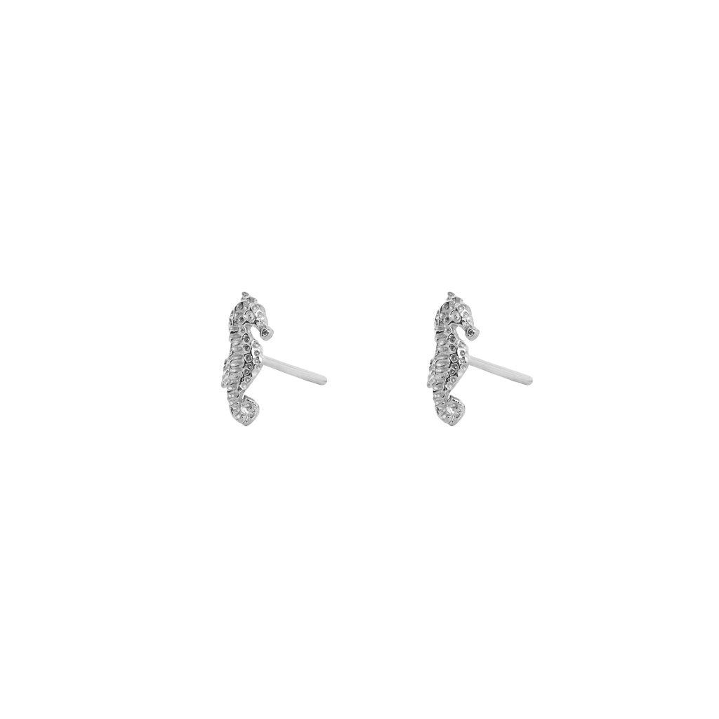 Sea horse 2 micron studs