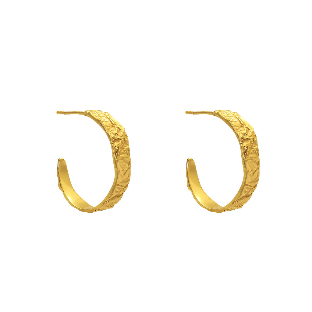 Vane textured hoops