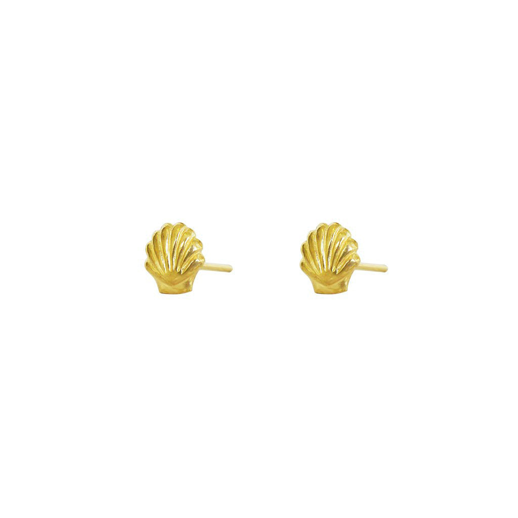 Emaria shell studs