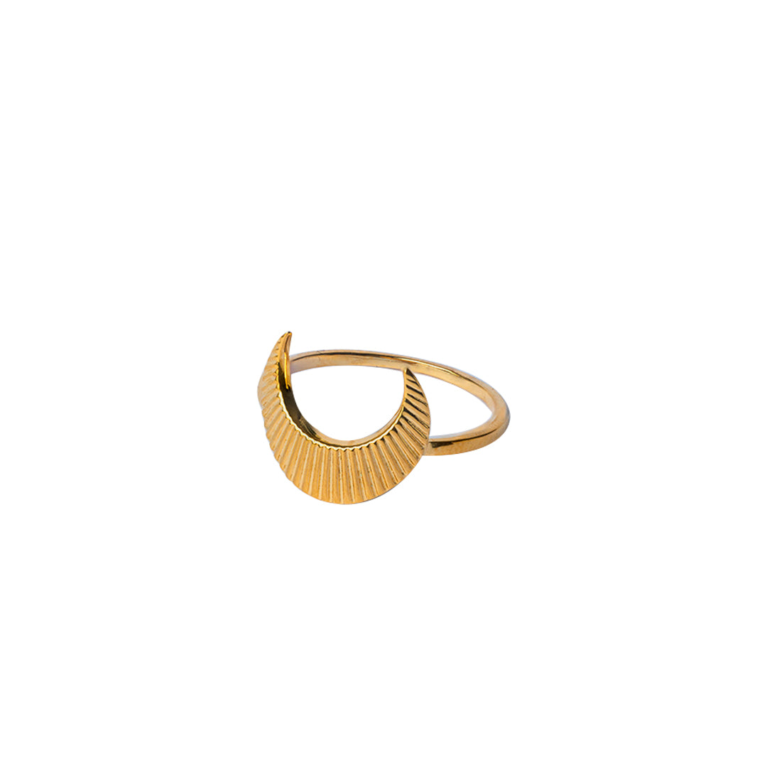 Lunar textured ring